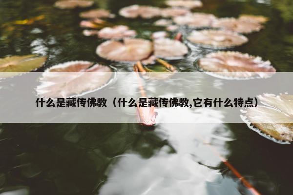 什么是藏传佛教（什么是藏传佛教,它有什么特点）