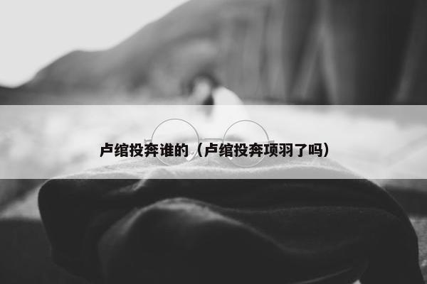 卢绾投奔谁的（卢绾投奔项羽了吗）