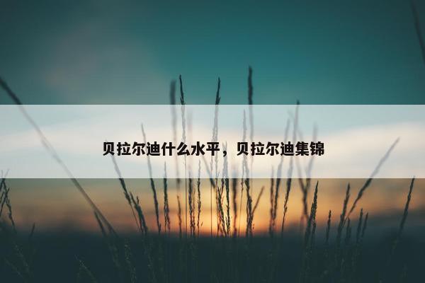 贝拉尔迪什么水平，贝拉尔迪集锦