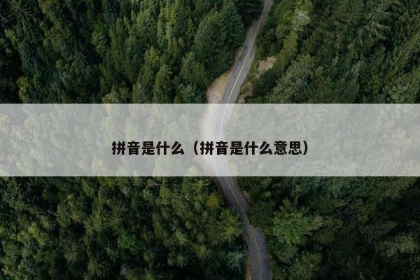 拼音是什么（拼音是什么意思）