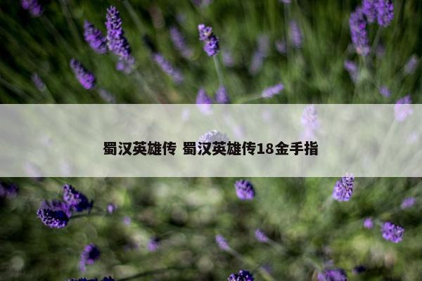 蜀汉英雄传 蜀汉英雄传18金手指