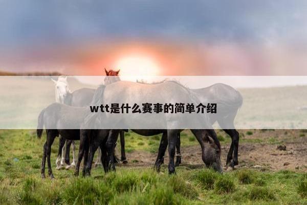 wtt是什么赛事的简单介绍