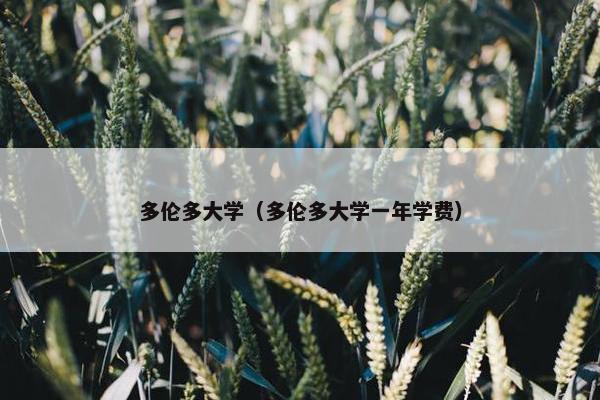 多伦多大学（多伦多大学一年学费）