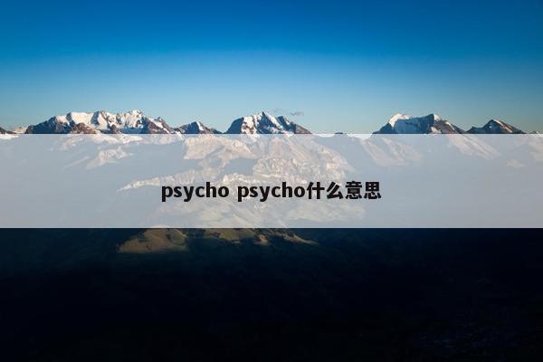 psycho psycho什么意思