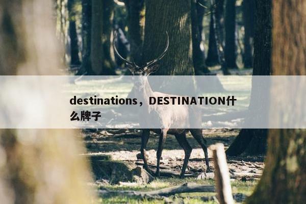 destinations，DESTINATION什么牌子