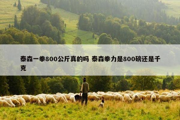 泰森一拳800公斤真的吗 泰森拳力是800磅还是千克