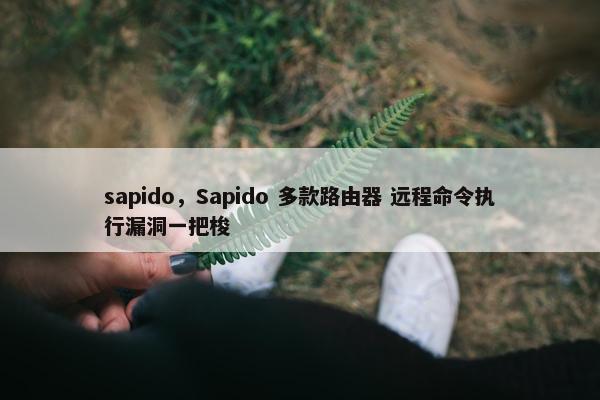 sapido，Sapido 多款路由器 远程命令执行漏洞一把梭