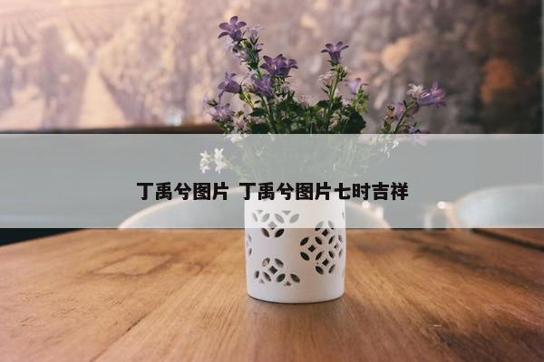 丁禹兮图片 丁禹兮图片七时吉祥