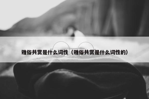 雅俗共赏是什么词性（雅俗共赏是什么词性的）