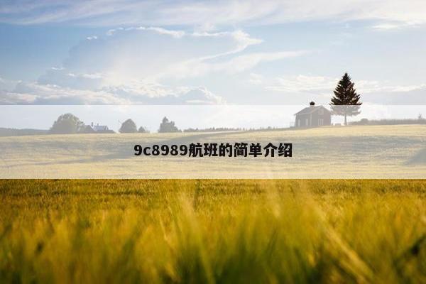 9c8989航班的简单介绍