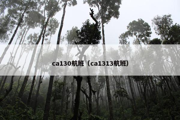 ca130航班（ca1313航班）