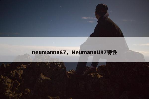 neumannu87，NeumannU87特性