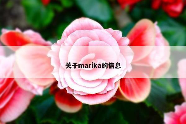 关于marika的信息