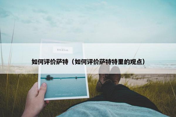 如何评价萨特（如何评价萨特特里的观点）