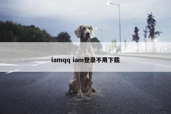 iamqq iam登录不用下载