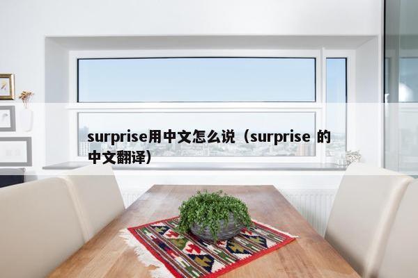 surprise用中文怎么说（surprise 的中文翻译）