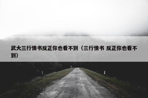 武大三行情书反正你也看不到（三行情书 反正你也看不到）