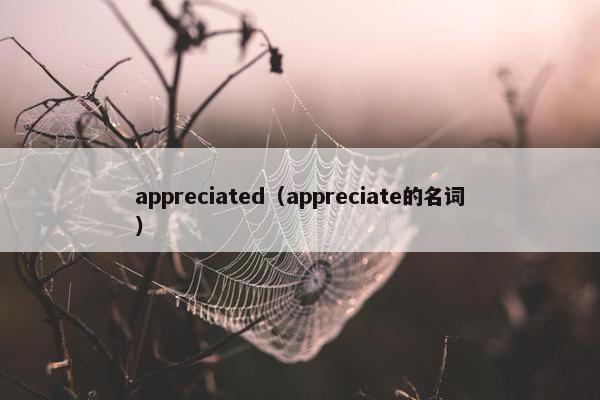 appreciated（appreciate的名词）