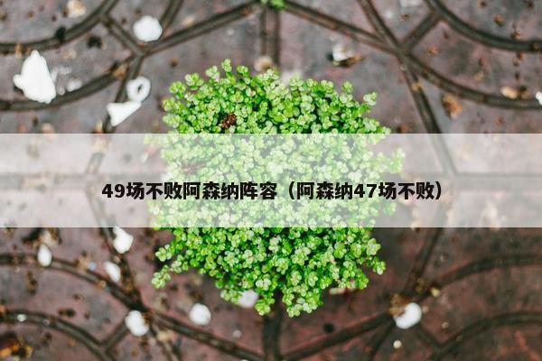 49场不败阿森纳阵容（阿森纳47场不败）