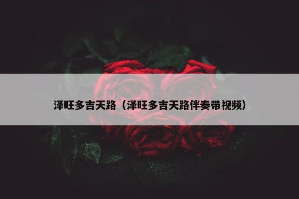 泽旺多吉天路（泽旺多吉天路伴奏带视频）