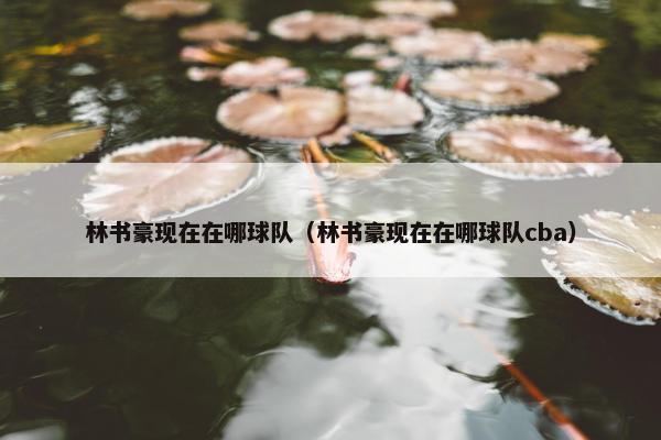 林书豪现在在哪球队（林书豪现在在哪球队cba）