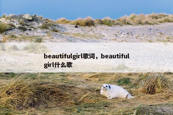 beautifulgirl歌词，beautifulgirl什么歌