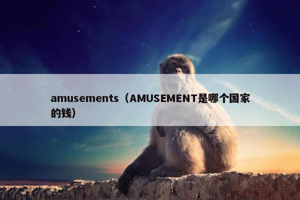 amusements（AMUSEMENT是哪个国家的钱）