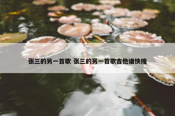 张三的另一首歌 张三的另一首歌吉他谱快搜