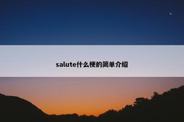 salute什么梗的简单介绍