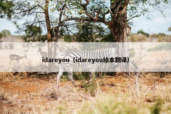 idareyou（idareyou绘本翻译）