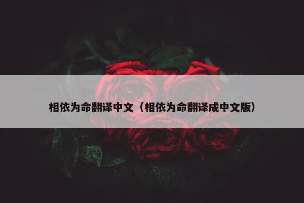 相依为命翻译中文（相依为命翻译成中文版）