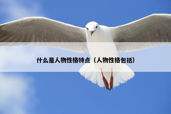 什么是人物性格特点（人物性格包括）