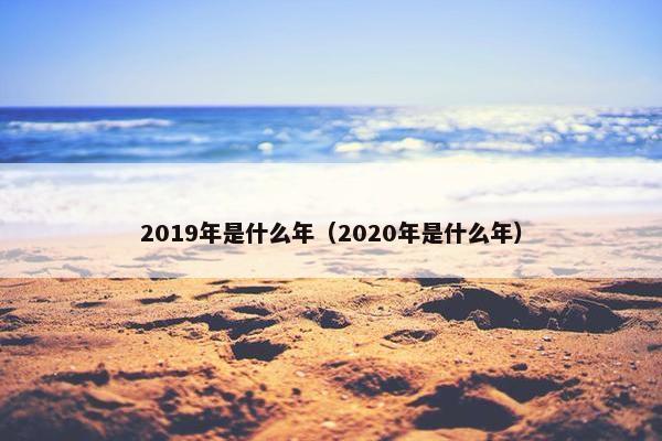 2019年是什么年（2020年是什么年）