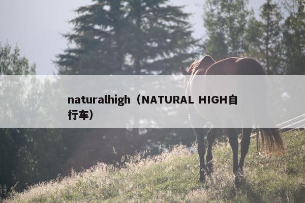 naturalhigh（NATURAL HIGH自行车）