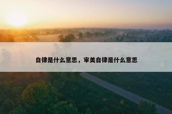 自律是什么意思，审美自律是什么意思