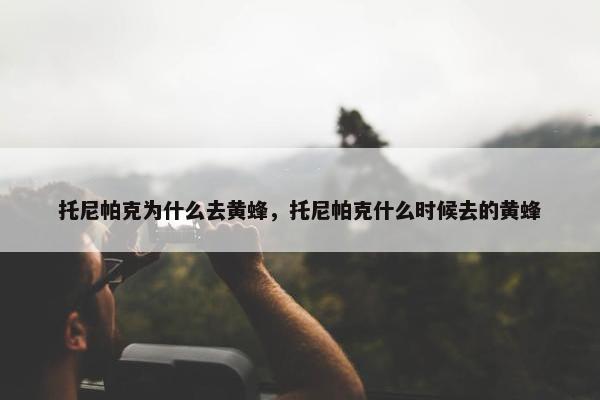 托尼帕克为什么去黄蜂，托尼帕克什么时候去的黄蜂