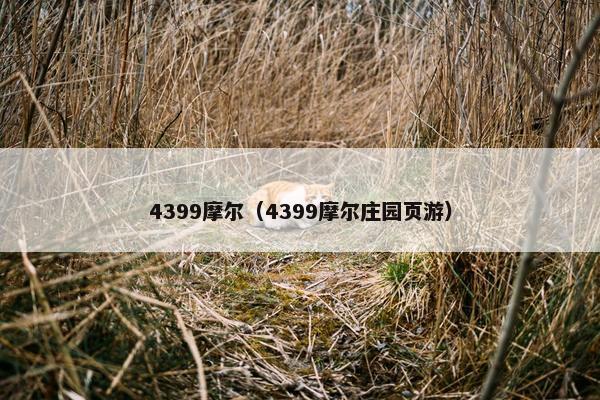 4399摩尔（4399摩尔庄园页游）