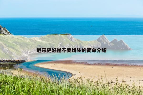 尼采更好是不要出生的简单介绍