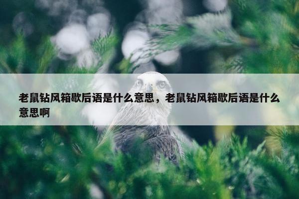 老鼠钻风箱歇后语是什么意思，老鼠钻风箱歇后语是什么意思啊