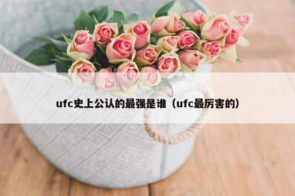 ufc史上公认的最强是谁（ufc最厉害的）