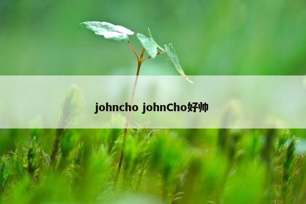 johncho johnCho好帅