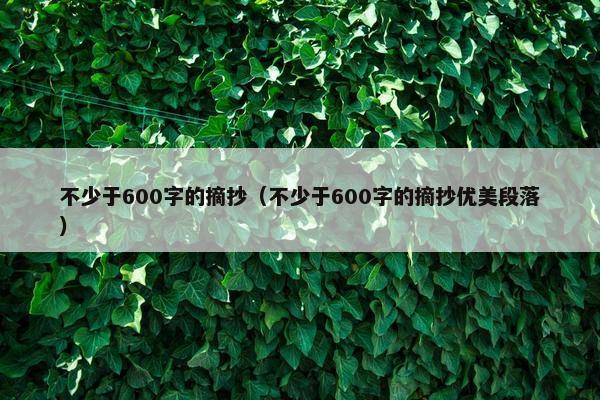 不少于600字的摘抄（不少于600字的摘抄优美段落）