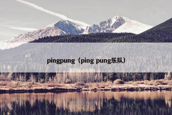 pingpung（ping pung乐队）