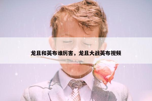 龙且和英布谁厉害，龙且大战英布视频