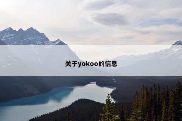 关于yokoo的信息