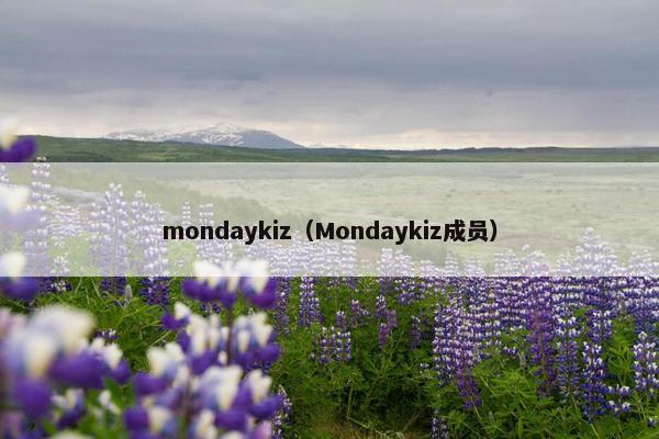 mondaykiz（Mondaykiz成员）