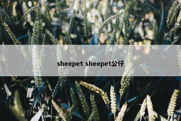 sheepet sheepet公仔