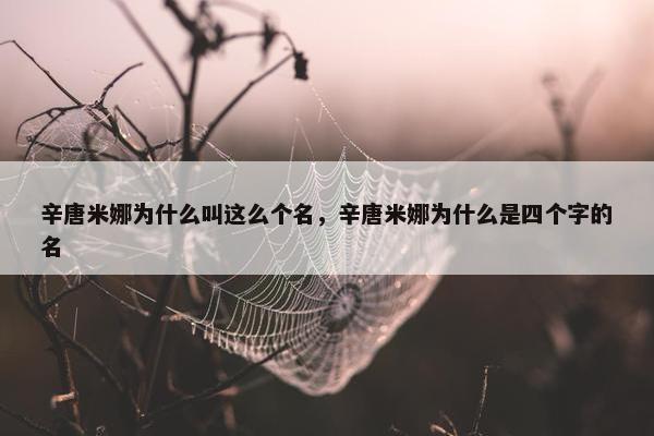 辛唐米娜为什么叫这么个名，辛唐米娜为什么是四个字的名