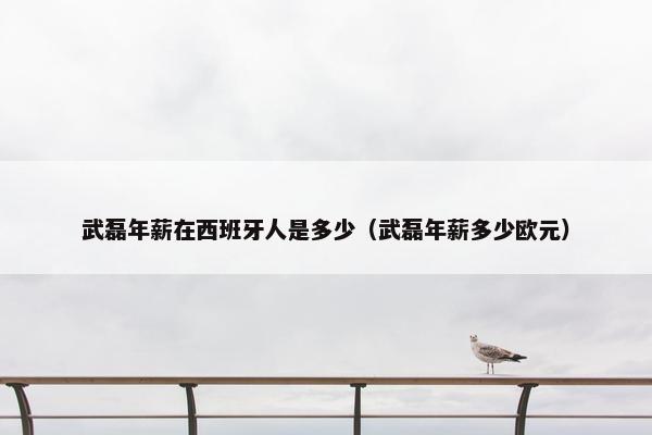 武磊年薪在西班牙人是多少（武磊年薪多少欧元）