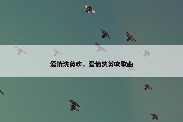 爱情洗剪吹，爱情洗剪吹歌曲